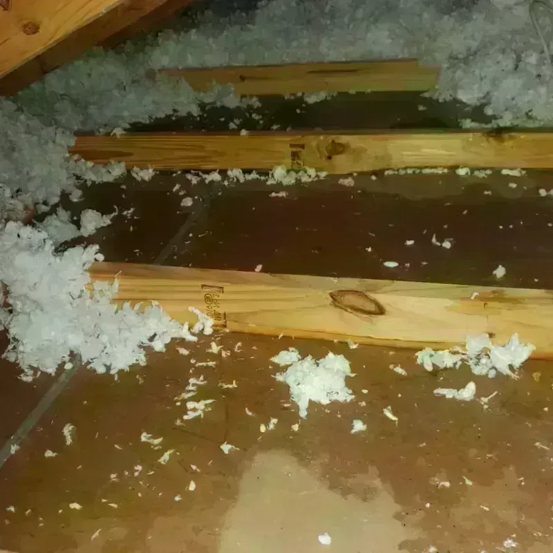 Attic Water Damage in Buckner, MO