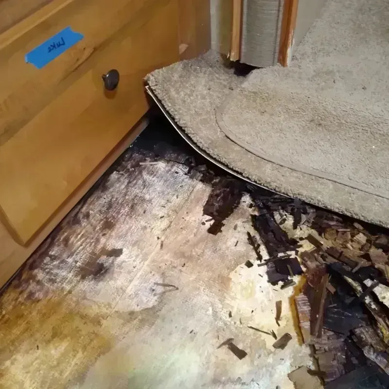 Wood Floor Water Damage in Buckner, MO